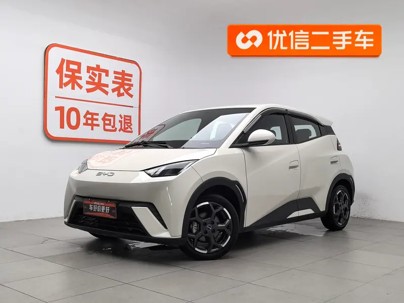BYD Seagull, 2025
