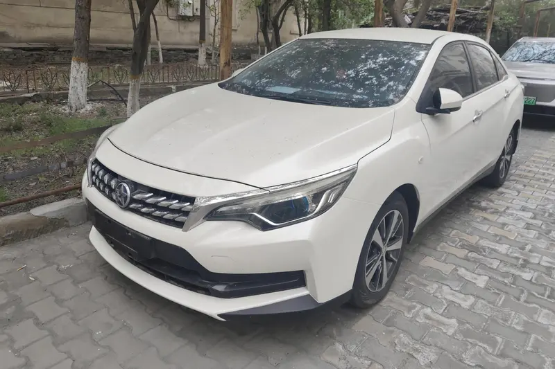 Venucia D60, 2019