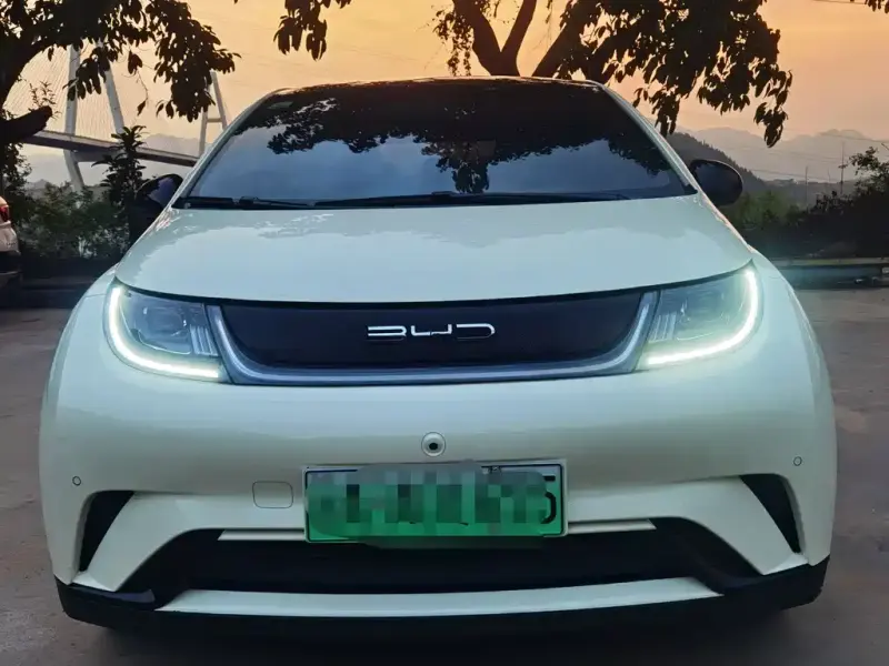 BYD Dolphin, 2024