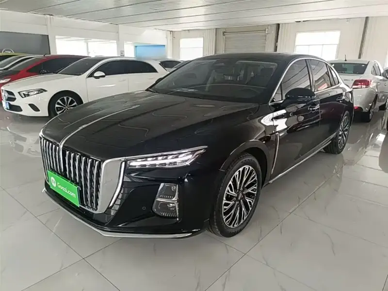 Hongqi H5, 2024