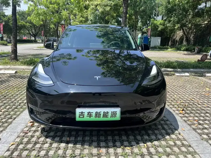 Tesla Model Y, 2021
