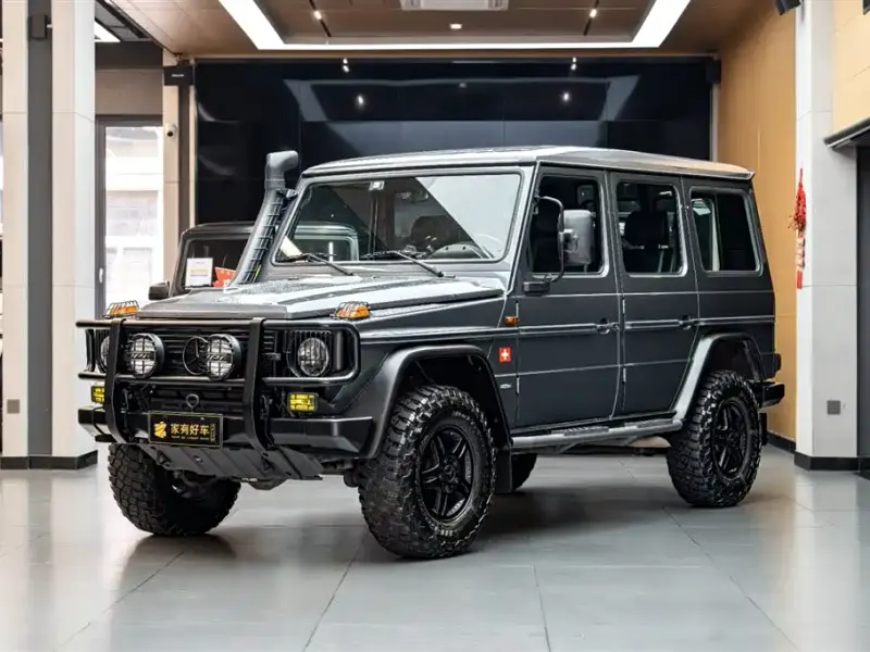 Mercedes-Benz G-Class, 2010