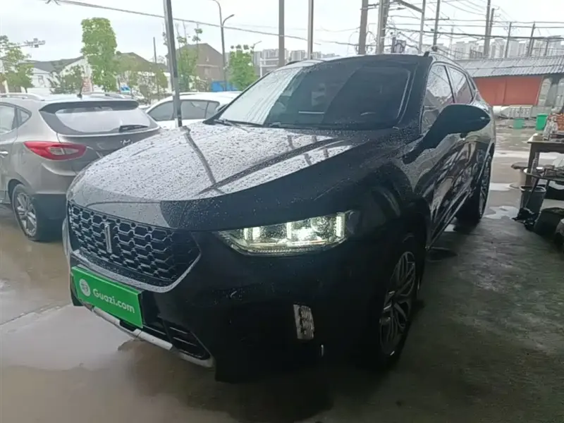 Wey VV5, 2018