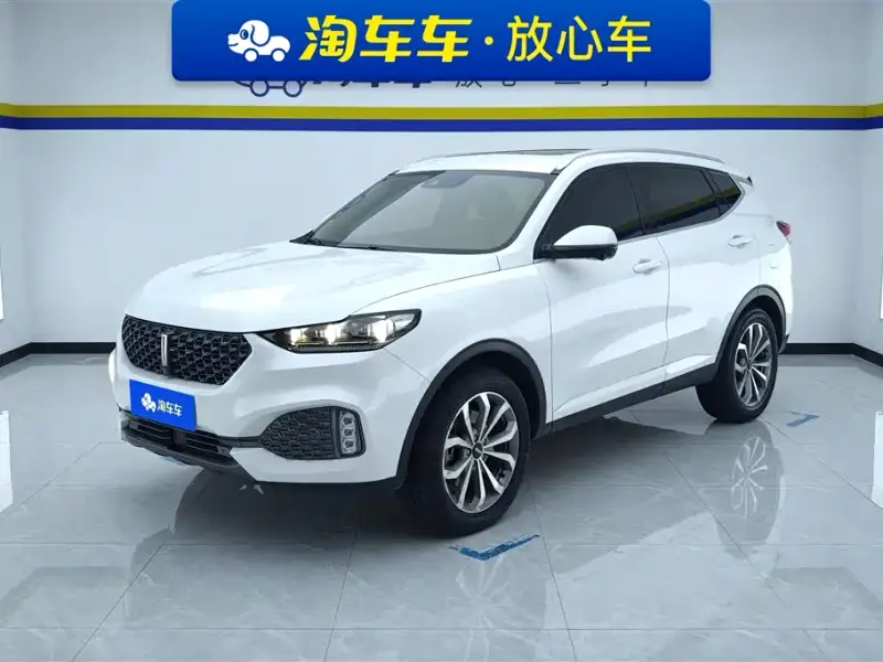 Wey VV6, 2019