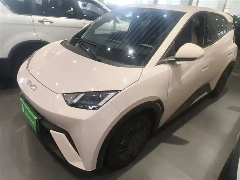 BYD Seagull, 2024