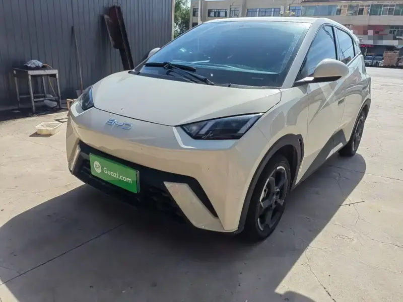 BYD Seagull, 2024