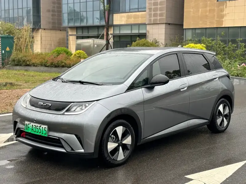 BYD Dolphin, 2024