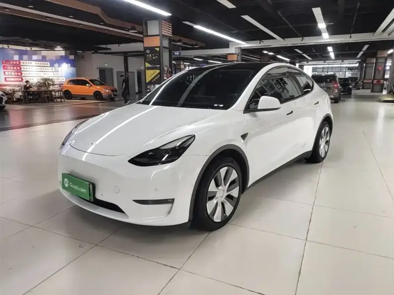Tesla Model Y, 2021