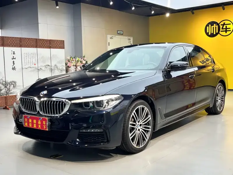 BMW 5 Series, 2019