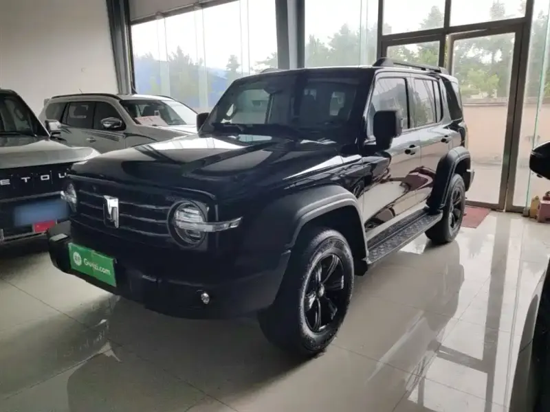 Tank 300, 2024