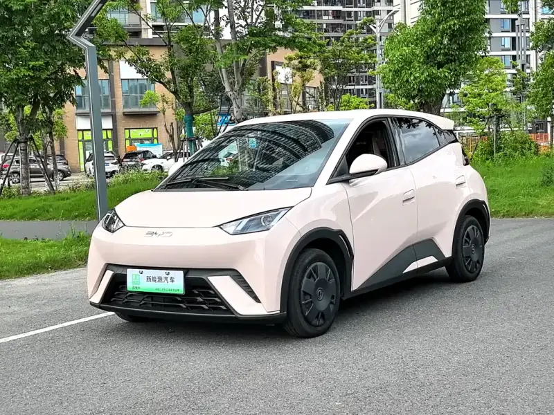 BYD Seagull, 2024