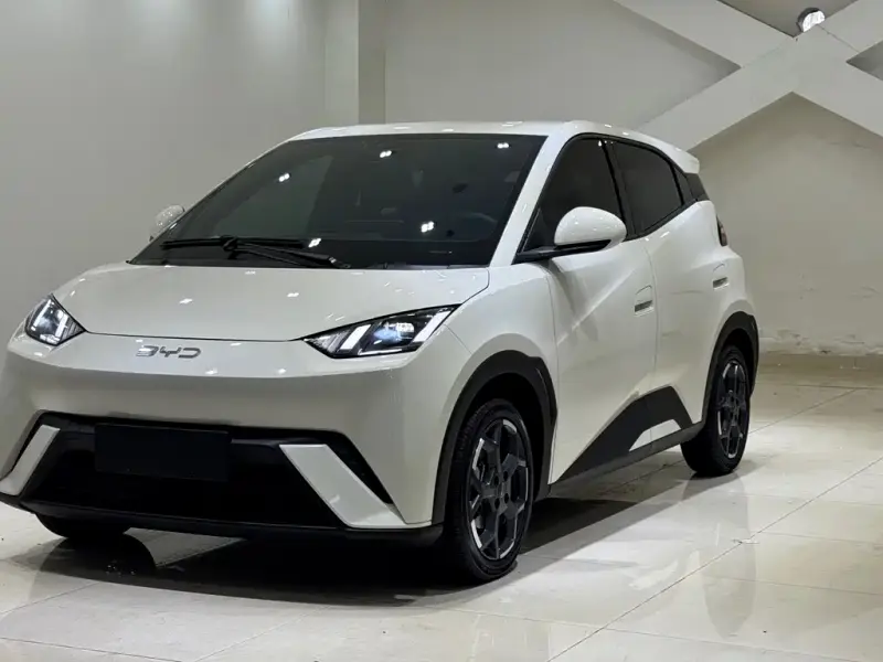 BYD Seagull, 2024