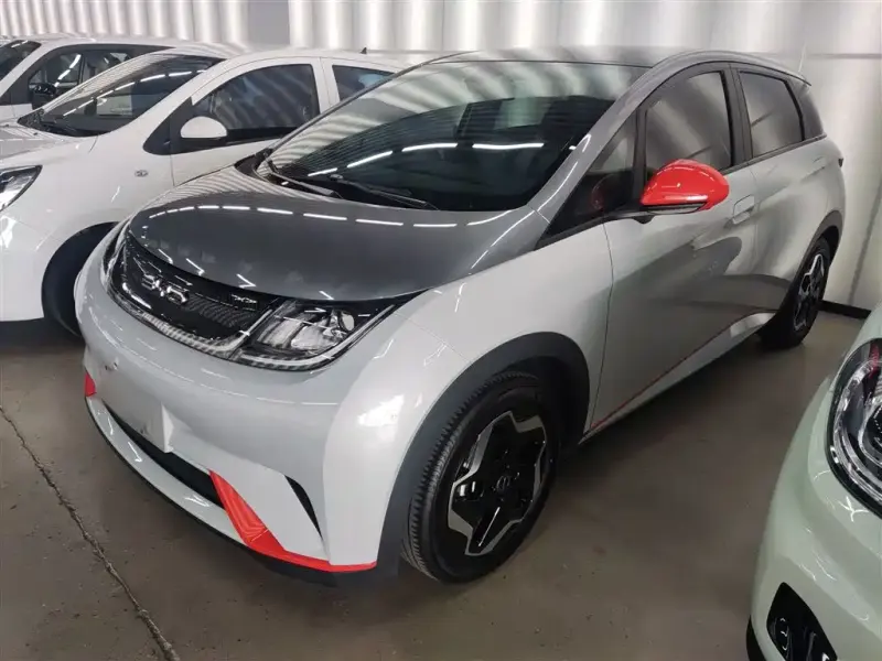 BYD Dolphin, 2021