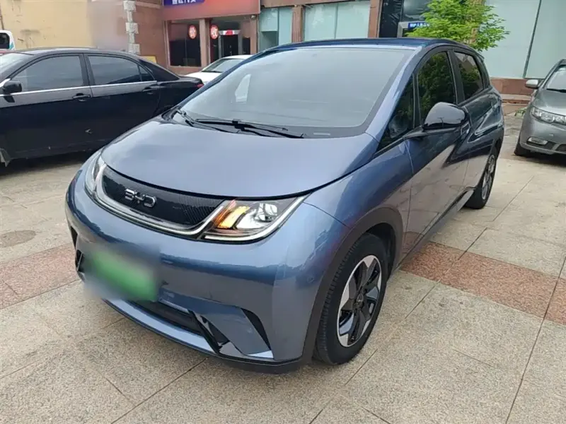 BYD Dolphin, 2024