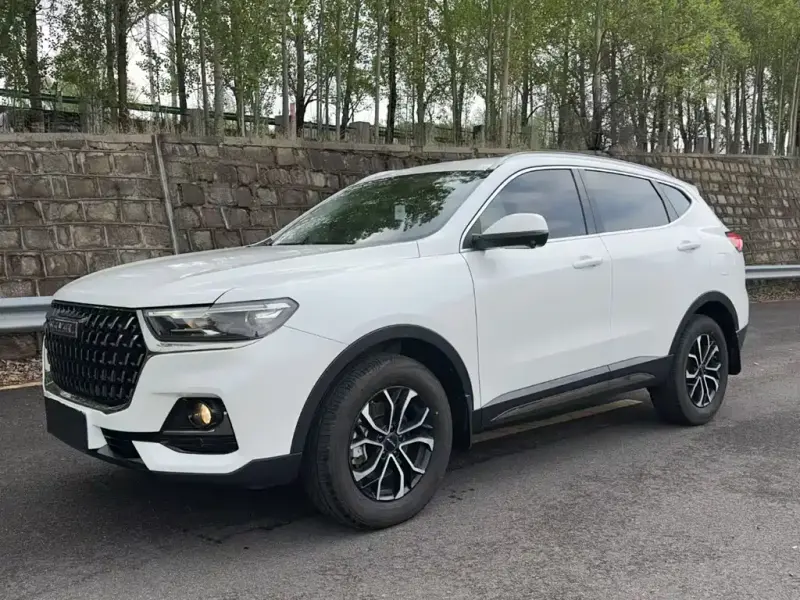 Haval H6, 2024