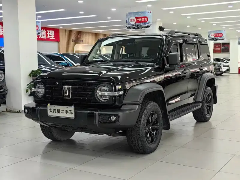 Tank 300, 2021