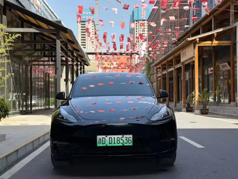 Tesla Model Y, 2022