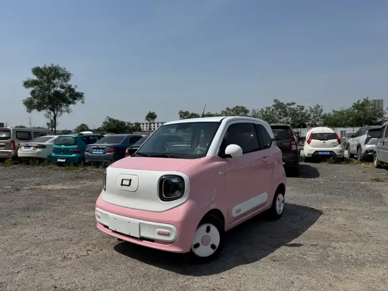 Bestune Pony, 2024