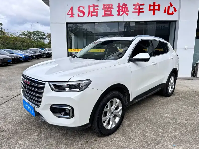 Haval H6, 2019