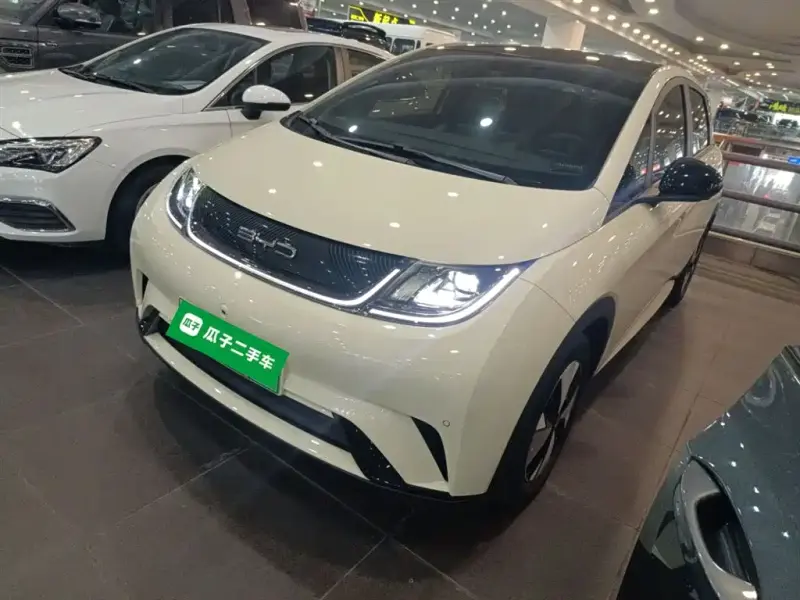 BYD Dolphin, 2023
