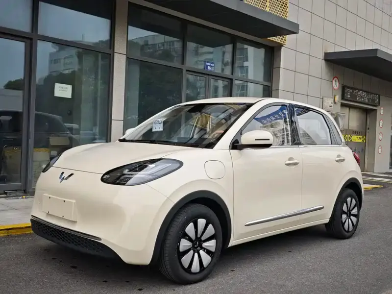 Wuling Bingo, 2026