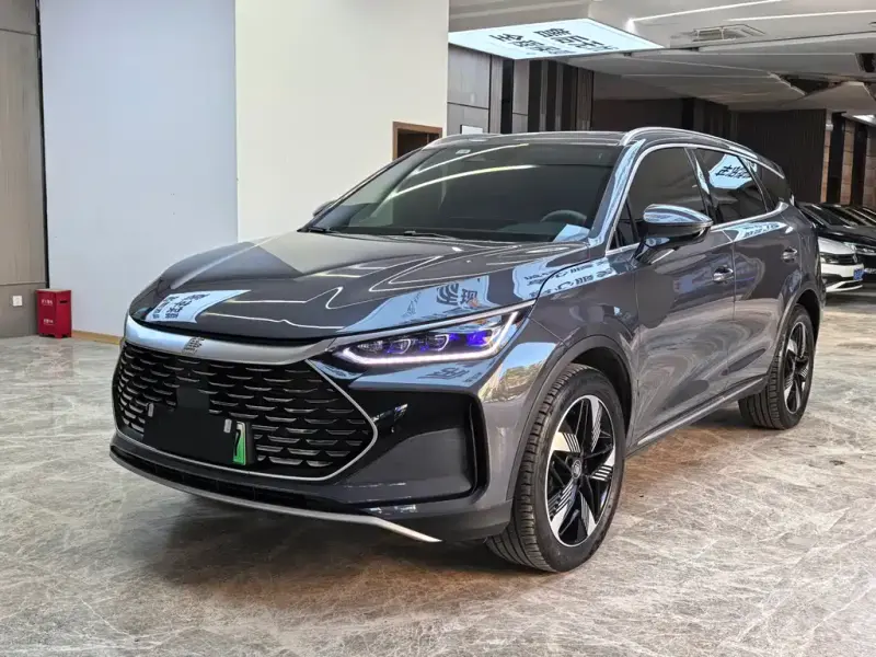 BYD Tang New Energy, 2024