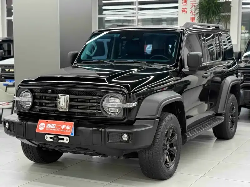 Tank 300, 2021