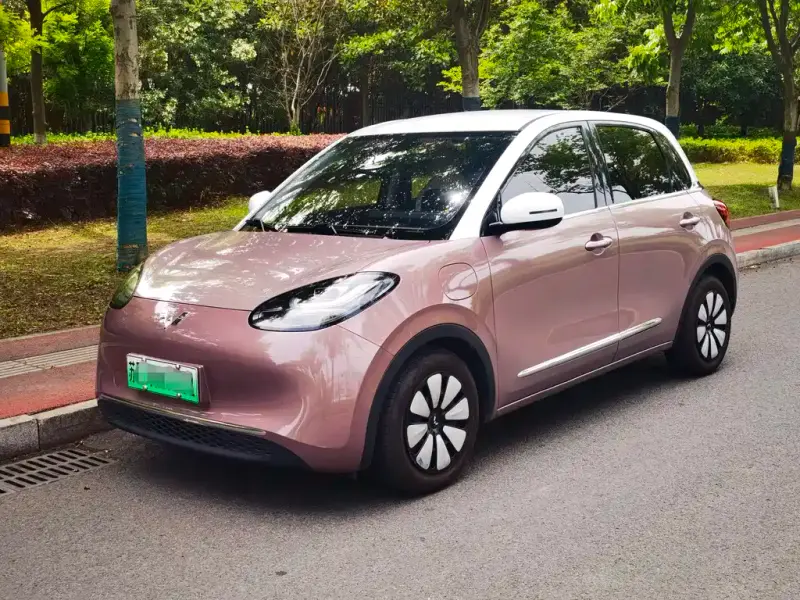 Wuling Bingo, 2023
