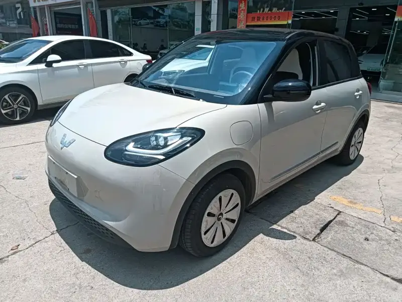 Wuling Bingo, 2025