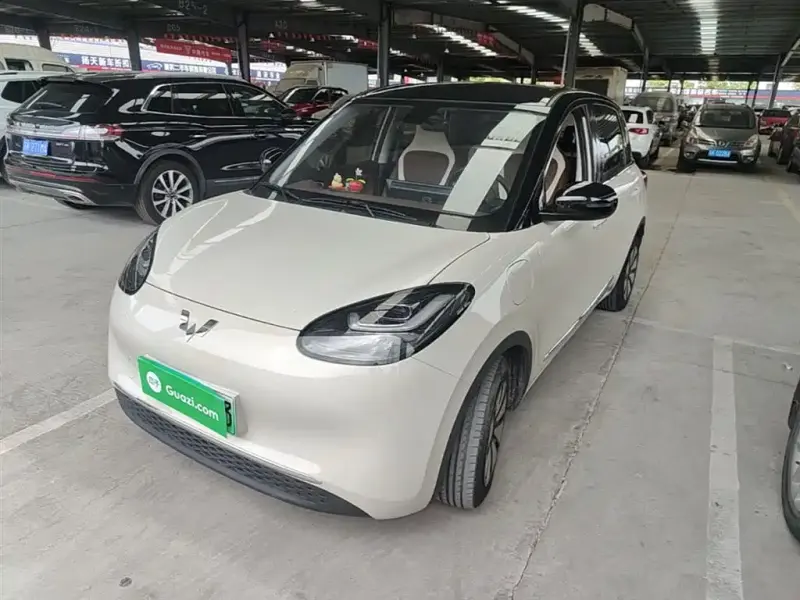 Wuling Bingo, 2024