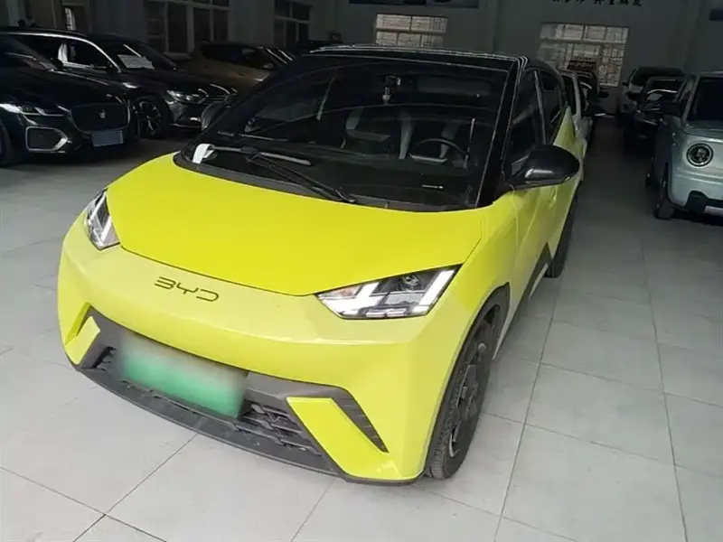 BYD Seagull, 2024