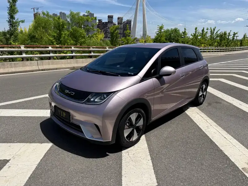 BYD Dolphin, 2023