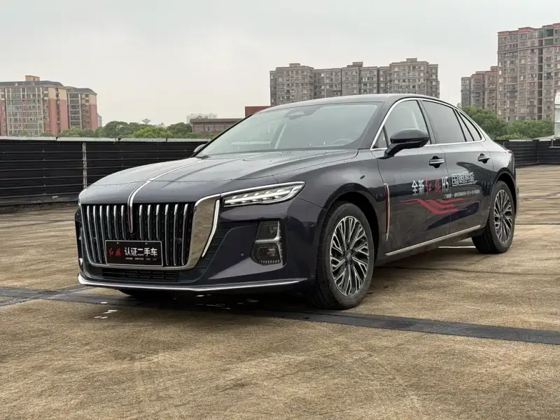 Hongqi H5, 2024