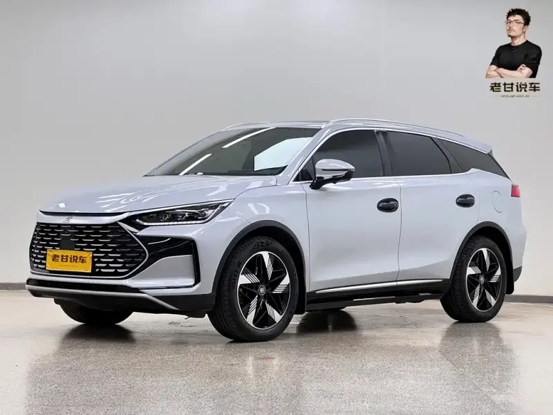 BYD Tang New Energy, 2024