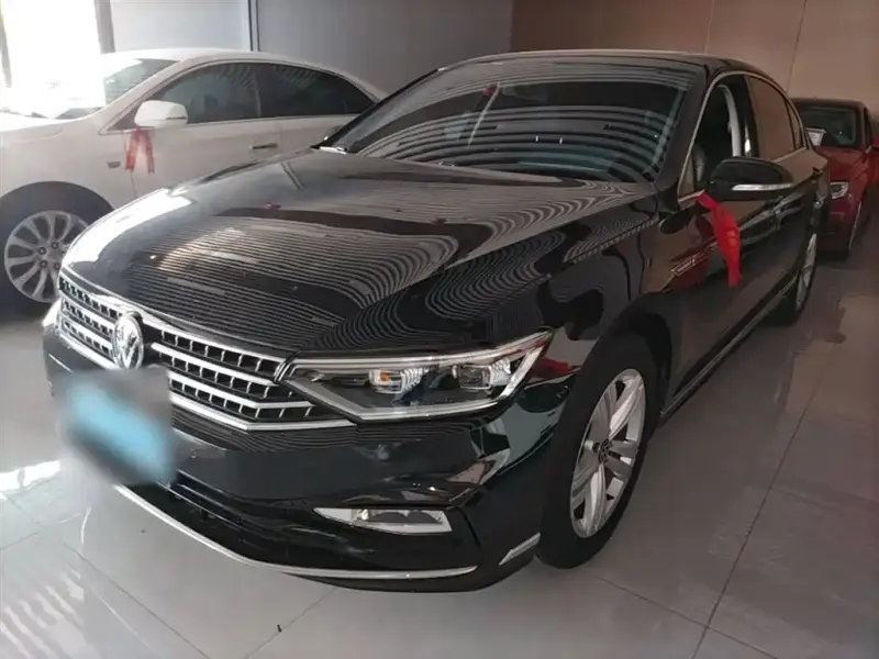 Volkswagen Magotan, 2024