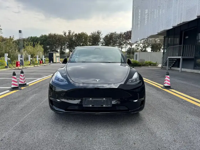 Tesla Model Y, 2021