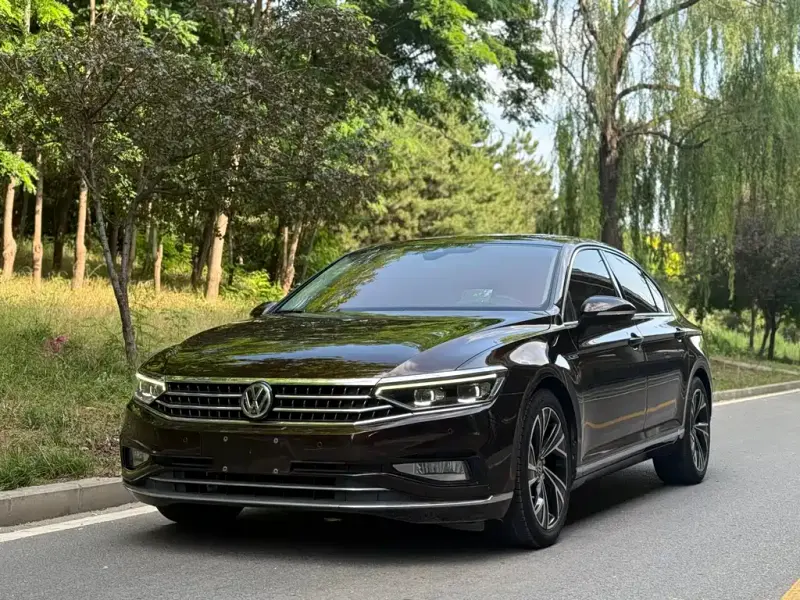 Volkswagen Magotan, 2020