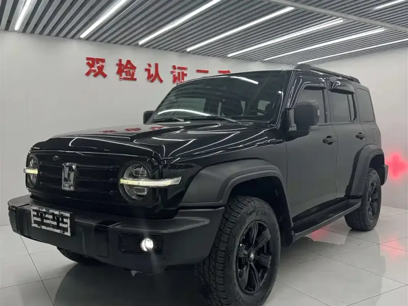 Tank 300, 2021