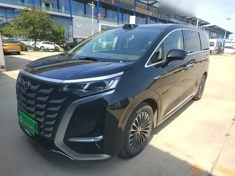 Denza D9, 2025
