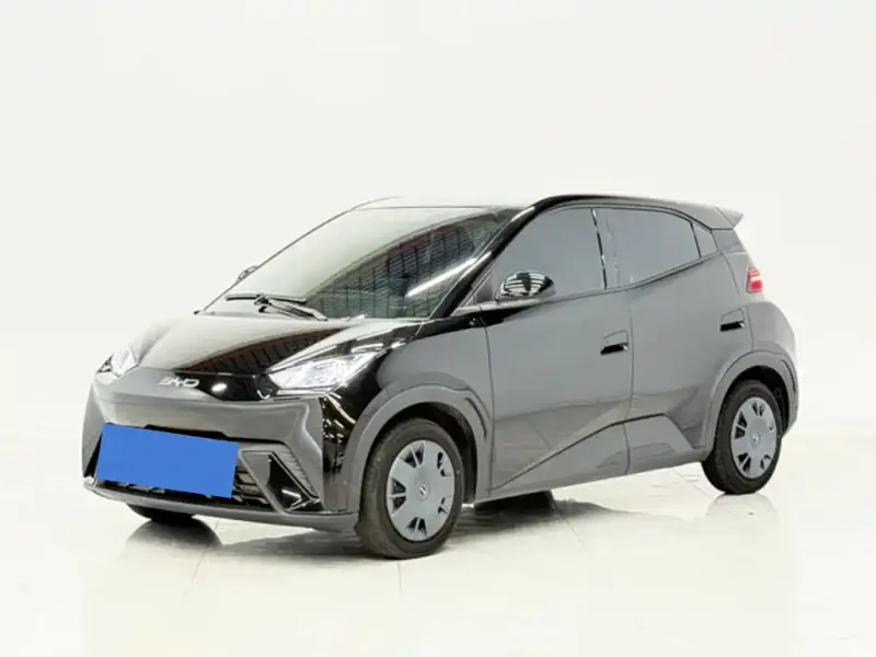 BYD Seagull, 2024