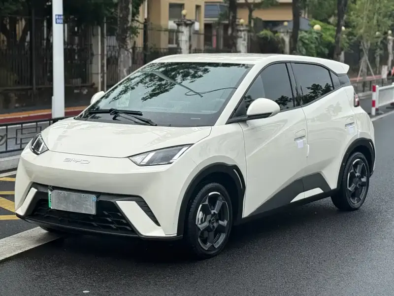 BYD Seagull, 2024