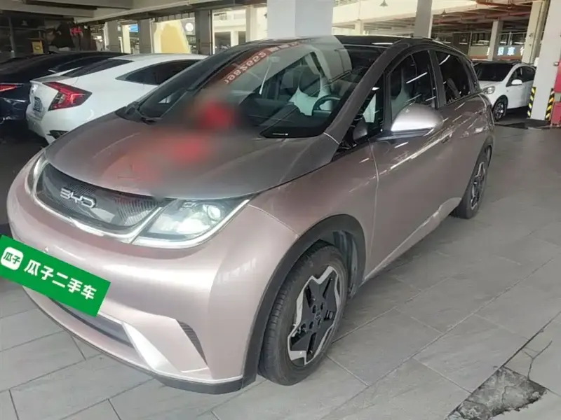 BYD Dolphin, 2022