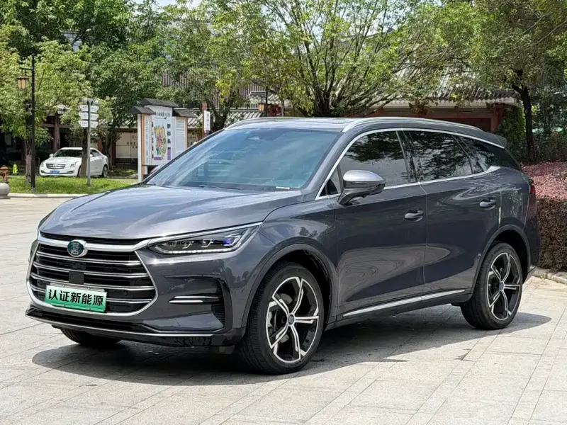 BYD Tang New Energy, 2021