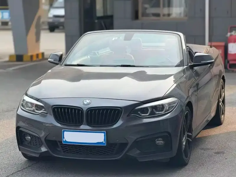BMW 2 Series (Import), 2020