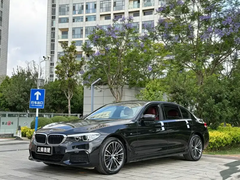 BMW 5 Series, 2019