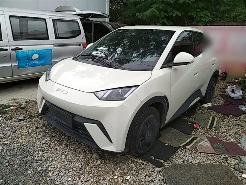BYD Seagull, 2024