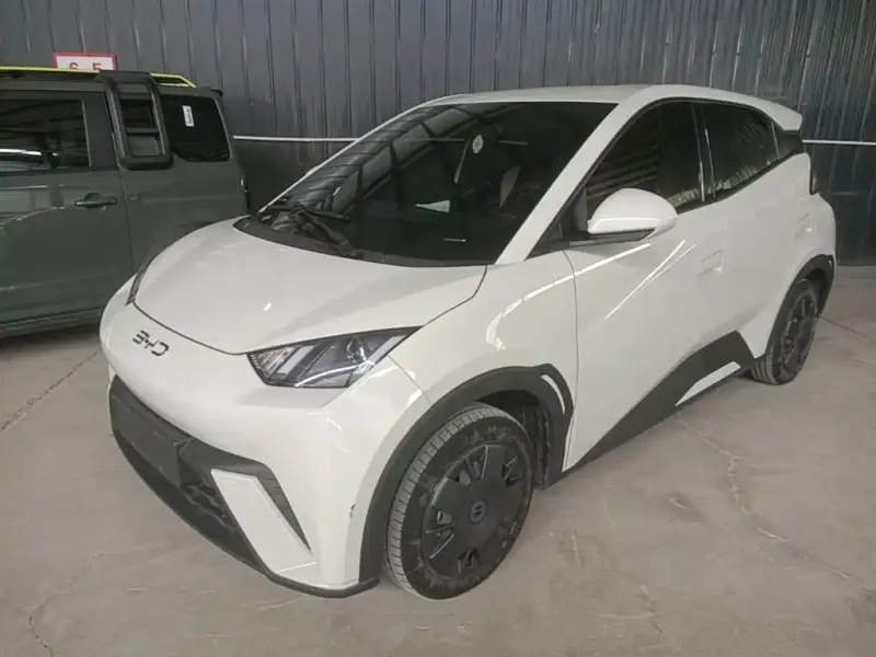 BYD Seagull, 2024
