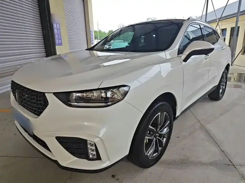 Wey VV5, 2020