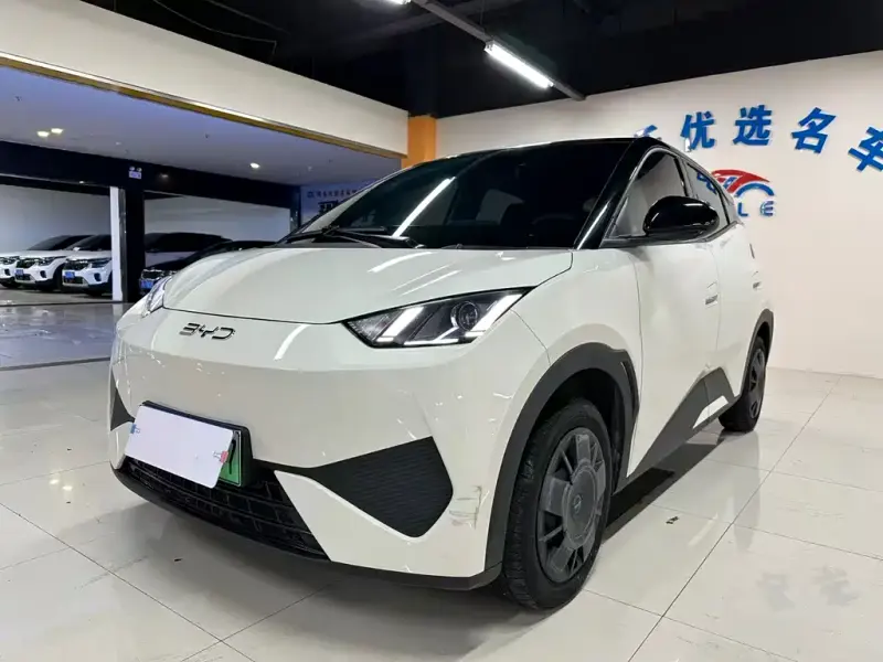 BYD Seagull, 2025