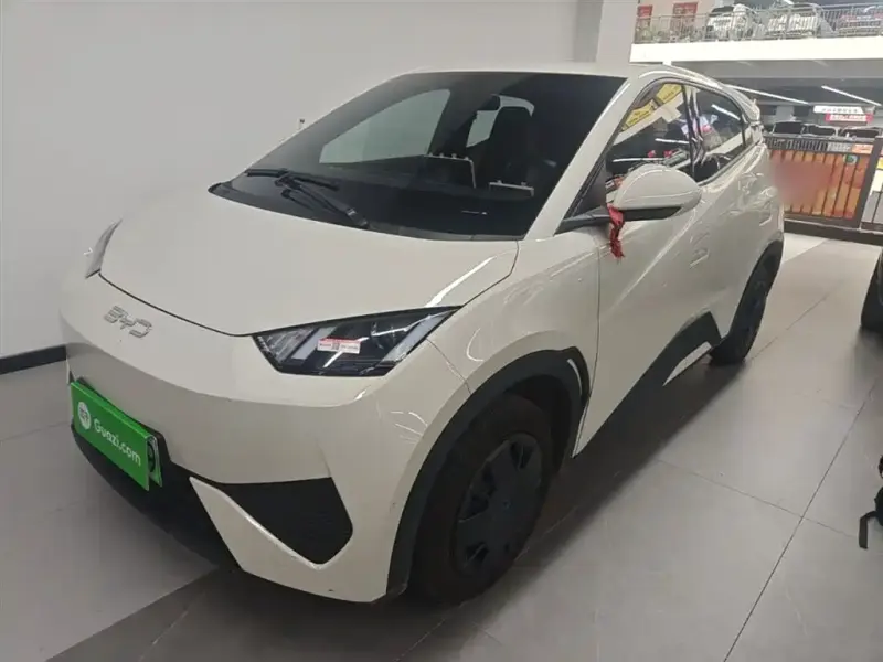 BYD Seagull, 2025